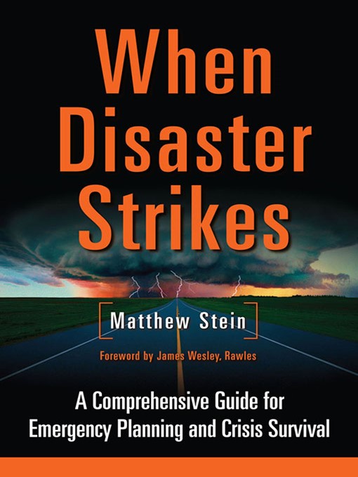 Title details for When Disaster Strikes by Matthew Stein - Wait list